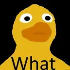 DUCKEE LOUDDUCKEE LOUDDUCKEE LOUDDUCKEE LOUDDUCKEE LOUDDUCKEE