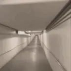 7 weeks & 3 days liminal