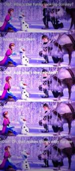 Funky looking donkey