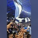 Rayados