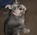 Eazy-E "No More ?'s"