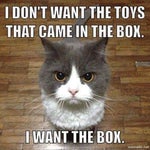 จี่หอย BY.ไวท์ตอกด - Sound