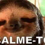 tu vas te calmer tout de suite