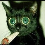 Steel Ball Run Alternate Diego Brando Meets Johnny Joestar Mang