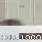 Recording 10/25/25 21:21:26