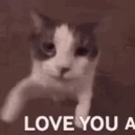 eu e voçeeeeeeeee