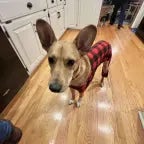 Recording 12/13/24 23:34:50