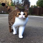 I went outside and saw