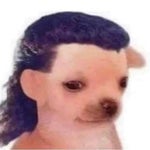 Amanda Coronha love leve (Instrumental)