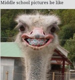 ايها القرد الدوني - Sound