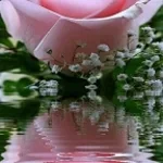 delete that soundboard bro (copy4)