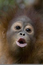 ishowspeed world cup official music video