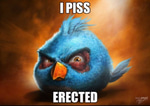 IM THE BIGGEST BIRD