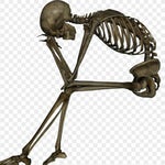 wifiskeleton - im not alex g, and ur not sarah