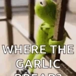 kastamonu-taskopru-sarimsak-geldi