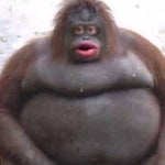 Very loud static noise