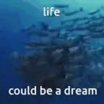 life could be a dream loop