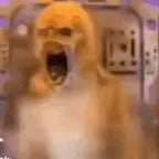 Animatronic Tweakin Meme Template πππ