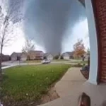 Theodore x diddy (copy)