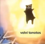 Volvi Tonotos