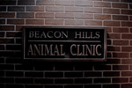 Teen Wolf Main Title
