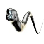 PamelaPamperson-WPADKA