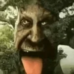 Screaming chicken on tree meme