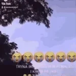 Vedas 13