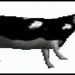 polish cow bass boosted