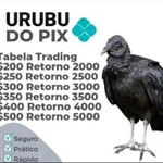 Urubu do Pix - Sound