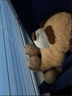 Mississippi Fred McDowell You gotta move