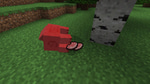 Death - pig
