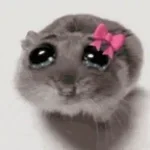 sad hamster