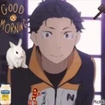 memes subaru natsuki subarunatsuki happybirthdaydaniel