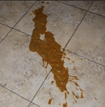 Sas (Counter strike global offensive) Custom Recording [Weights - Sound