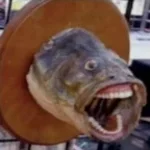 Early lunch for Konzu!