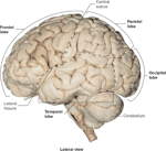 doomfist sings cheerleader