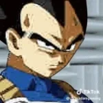 Vegeta's message