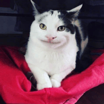 monday left me broken