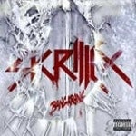 Skrillex - Bangarang LOUD