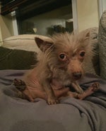 Kanii sins (let me in) [Official Audio]