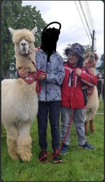 Sound Effect Sigma Sound