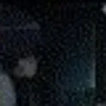 jacare-va-pra-casa (1) (copy)