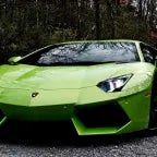 bunny eating car - Sound