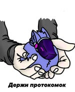 come on come on attack