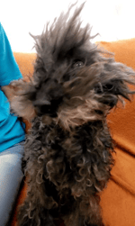 NOTIFICACIÓN DE ANDROID SATURADO.