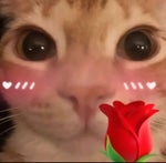 Jujutsu Kaisen - Opening 1 Kaikai Kitan by Eve