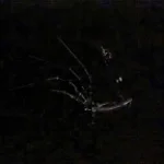 The Prototype Footsteps