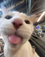 Песня про Руслана - Sound