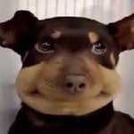 Willie Spence Diamonds by Rihanna Cover!!!